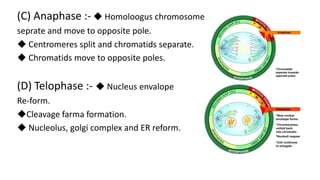 (C) Anaphase :- ◆ Homoloogus chromosome
seprate and move to opposite pole.
◆ Centromeres split and chromatids separate.
◆ Chromatids move to opposite poles.
(D) Telophase :- ◆ Nucleus envalope
Re-form.
◆Cleavage farma formation.
◆ Nucleolus, golgi complex and ER reform.
 