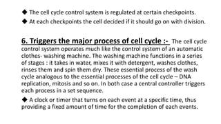 ◆ The cell cycle control system is regulated at certain checkpoints.
◆ At each checkpoints the cell decided if it should go on with division.
6. Triggers the major process of cell cycle :- The cell cycle
control system operates much like the control system of an automatic
clothes- washing machine. The washing machine functions in a series
of stages : it takes in water, mixes it with detergent, washes clothes,
rinses them and spin them dry. These essential process of the wash
cycle analogous to the essential processes of the cell cycle – DNA
replication, mitosis and so on. In both case a central controller triggers
each process in a set sequence.
◆ A clock or timer that turns on each event at a specific time, thus
providing a fixed amount of time for the completion of each events.
 