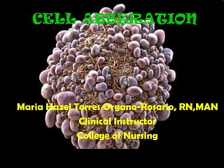 CELL ABBERATION




 Maria Hazel Torres Organo-Rosario, RN,MAN
              Clinical Instructor
              College of Nursing
23/09/12           cancer              1
 