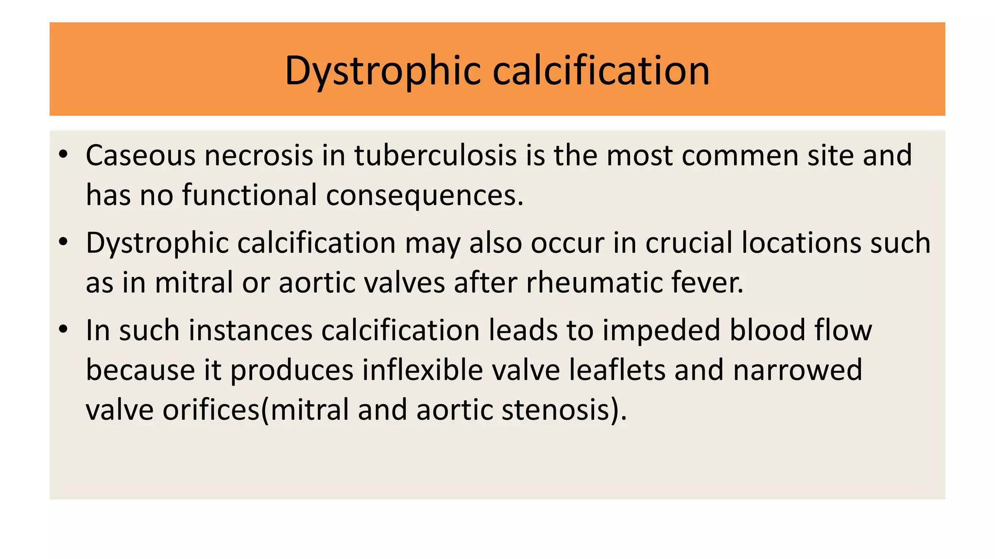 Dystrophic calcification
• Caseous necrosis in tuberculosis is the most commen site and
has no functional consequences.
• Dystrophic calcification may also occur in crucial locations such
as in mitral or aortic valves after rheumatic fever.
• In such instances calcification leads to impeded blood flow
because it produces inflexible valve leaflets and narrowed
valve orifices(mitral and aortic stenosis).
 