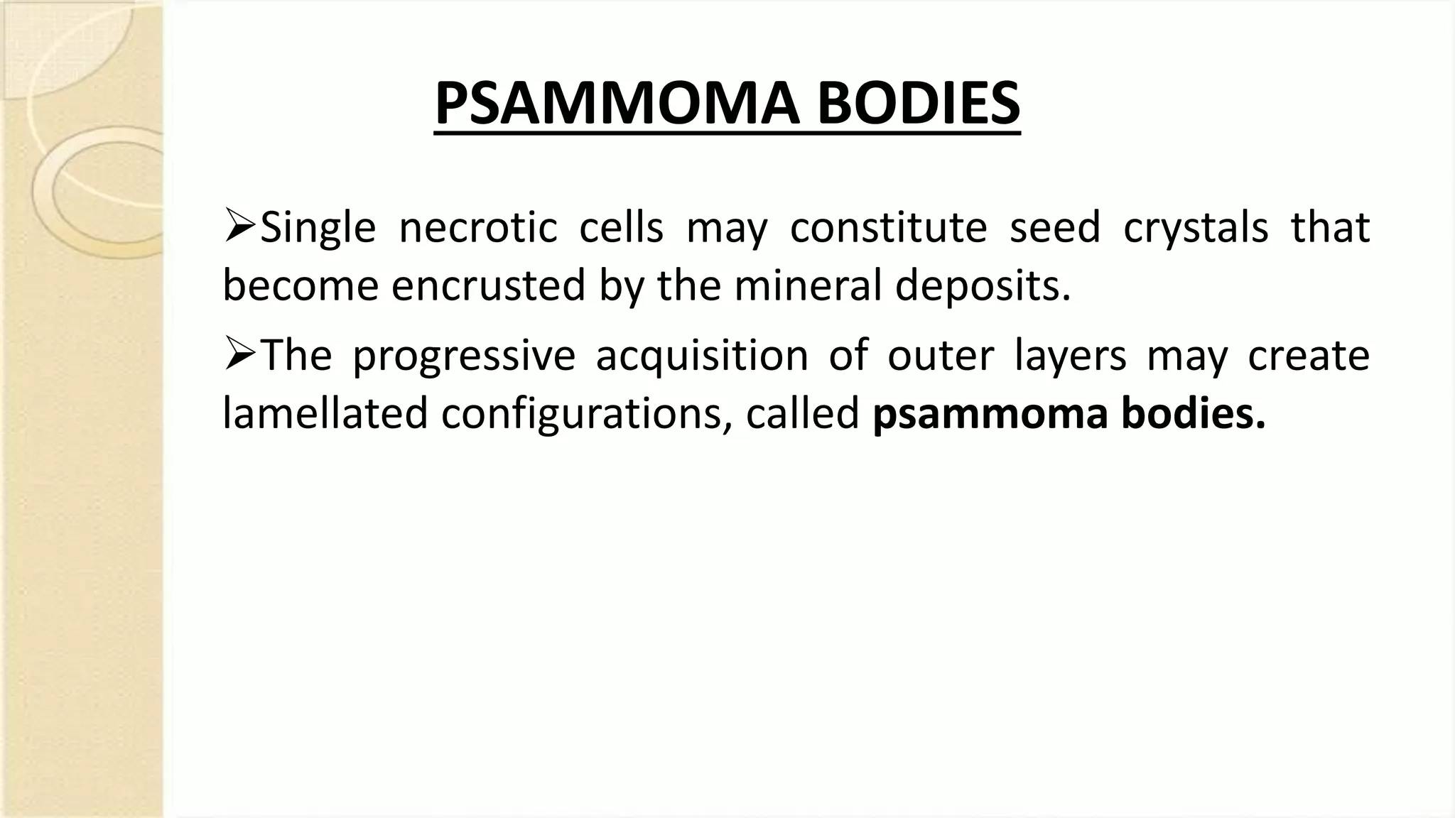 PSAMMOMA BODIES
Single necrotic cells may constitute seed crystals that
become encrusted by the mineral deposits.
The progressive acquisition of outer layers may create
lamellated configurations, called psammoma bodies.
 