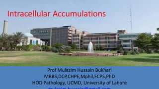Cell accumulations foundation block pathology | PPTX