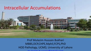 Prof Mulazim Hussain Bukhari
MBBS,DCP,CHPE,Mphil,FCPS,PhD
HOD Pathology, UCMD, University of Lahore
Intracellular Accumulations
 