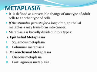 METAPLASIA
 It is defined as a reversible change of one type of adult
cells to another type of cells.
 If the stimulus persists for a long time, epithelial
metaplasia may transform into cancer.
 Metaplasia is broadly divided into 2 types:
1. Epithelial Metaplasia
I. Squamous metaplasia
II. Columnar metaplasia
2. Mesenchymal Metaplasia
I. Osseous metaplasia
II. Cartilaginous metaplasia.
 