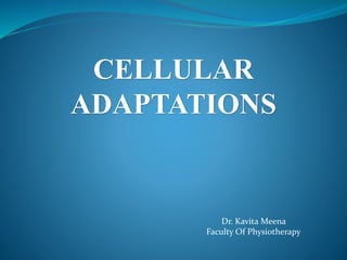 CELLULAR
ADAPTATIONS
Dr. Kavita Meena
Faculty Of Physiotherapy
 