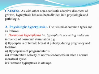 CAUSES:- As with other non-neoplastic adaptive disorders of
growth, hyperplasia has also been divided into physiologic and
pathologic.
A. Physiologic hyperplasia:- The two most common types are
as follows:
1. Hormonal hyperplasia i.e. hyperplasia occurring under the
influence of hormonal stimulation e.g.
i) Hyperplasia of female breast at puberty, during pregnancy and
lactation.
ii) Hyperplasia of pregnant uterus.
iii) Proliferative activity of normal endometrium after a normal
menstrual cycle.
iv) Prostatic hyperplasia in old age.
 
