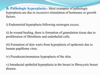 B. Pathologic hyperplasia:- Most examples of pathologic
hyperplasia are due to excessive stimulation of hormones or growth
factors.
i) Endometrial hyperplasia following oestrogen excess.
ii) In wound healing, there is formation of granulation tissue due to
proliferation of fibroblasts and endothelial cells.
iii) Formation of skin warts from hyperplasia of epidermis due to
human papilloma virus.
iv) Pseudocarcinomatous hyperplasia of the skin.
v) Intraductal epithelial hyperplasia in the breast in fibrocystic breast
disease.
 