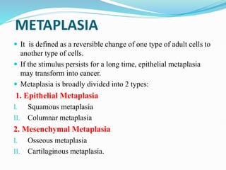 METAPLASIA
 It is defined as a reversible change of one type of adult cells to
another type of cells.
 If the stimulus persists for a long time, epithelial metaplasia
may transform into cancer.
 Metaplasia is broadly divided into 2 types:
1. Epithelial Metaplasia
I. Squamous metaplasia
II. Columnar metaplasia
2. Mesenchymal Metaplasia
I. Osseous metaplasia
II. Cartilaginous metaplasia.
 