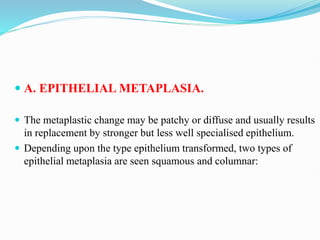  A. EPITHELIAL METAPLASIA.
 The metaplastic change may be patchy or diffuse and usually results
in replacement by stronger but less well specialised epithelium.
 Depending upon the type epithelium transformed, two types of
epithelial metaplasia are seen squamous and columnar:
 