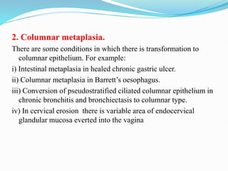 2. Columnar metaplasia.
There are some conditions in which there is transformation to
columnar epithelium. For example:
i) Intestinal metaplasia in healed chronic gastric ulcer.
ii) Columnar metaplasia in Barrett’s oesophagus.
iii) Conversion of pseudostratified ciliated columnar epithelium in
chronic bronchitis and bronchiectasis to columnar type.
iv) In cervical erosion there is variable area of endocervical
glandular mucosa everted into the vagina
 
