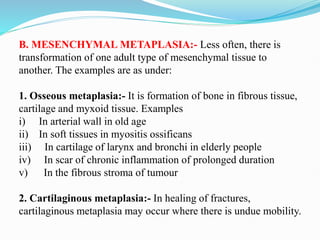 B. MESENCHYMAL METAPLASIA:- Less often, there is
transformation of one adult type of mesenchymal tissue to
another. The examples are as under:
1. Osseous metaplasia:- It is formation of bone in fibrous tissue,
cartilage and myxoid tissue. Examples
i) In arterial wall in old age
ii) In soft tissues in myositis ossificans
iii) In cartilage of larynx and bronchi in elderly people
iv) In scar of chronic inflammation of prolonged duration
v) In the fibrous stroma of tumour
2. Cartilaginous metaplasia:- In healing of fractures,
cartilaginous metaplasia may occur where there is undue mobility.
 
