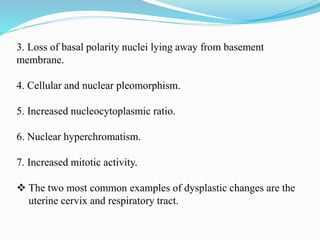 3. Loss of basal polarity nuclei lying away from basement
membrane.
4. Cellular and nuclear pleomorphism.
5. Increased nucleocytoplasmic ratio.
6. Nuclear hyperchromatism.
7. Increased mitotic activity.
 The two most common examples of dysplastic changes are the
uterine cervix and respiratory tract.
 