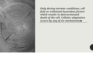 Only during extreme conditions, cell
fails to withstand hazardous factors
which results in destructionand
death of the cell. Cellular adaptation
occurs by any of six mechanisms■
 