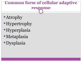 Common form of cellular adaptive
response
Atrophy
Hypertrophy
Hyperplasia
Metaplasia
Dysplasia
 
