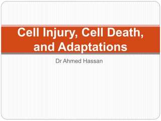 Dr Ahmed Hassan
Cell Injury, Cell Death,
and Adaptations
 