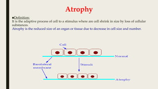 Cell Adaptation, cell injury and death.pptx