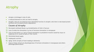 Atrophy
 Atrophy is shrinkage in size of cells.
 A reduced demand on cells can lead to atrophy.
 Atrophic cells are not dead but have diminished function.In atrophic cells there is decreased protein
synthesis and increased protein degradation.
o Causes of Atrophy:
1) Decreased workload/disuse e.g.immobilization of limb in fracture
2) Loss of endocrine stimulation e.g loss of hormone stimulation in menopause
3) Loss of innervation e.g. lack of neural stimulation to peripheral muscles caused by injury to
supplying nerve causes atrophy of that muscle.
4) Diminished blood supply
5) Inadequate nutrition
6) Aging: Senile atrophy of brain leading to dementia.
 Some of these stimuli are physiologic(loss of hormone stimulation in menopause) and others
pathologic(denervation)
 