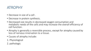 CELL ADAPTATON_091737.pptx