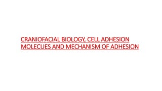 CRANIOFACIAL BIOLOGY, CELL ADHESION
MOLECUES AND MECHANISM OF ADHESION
 