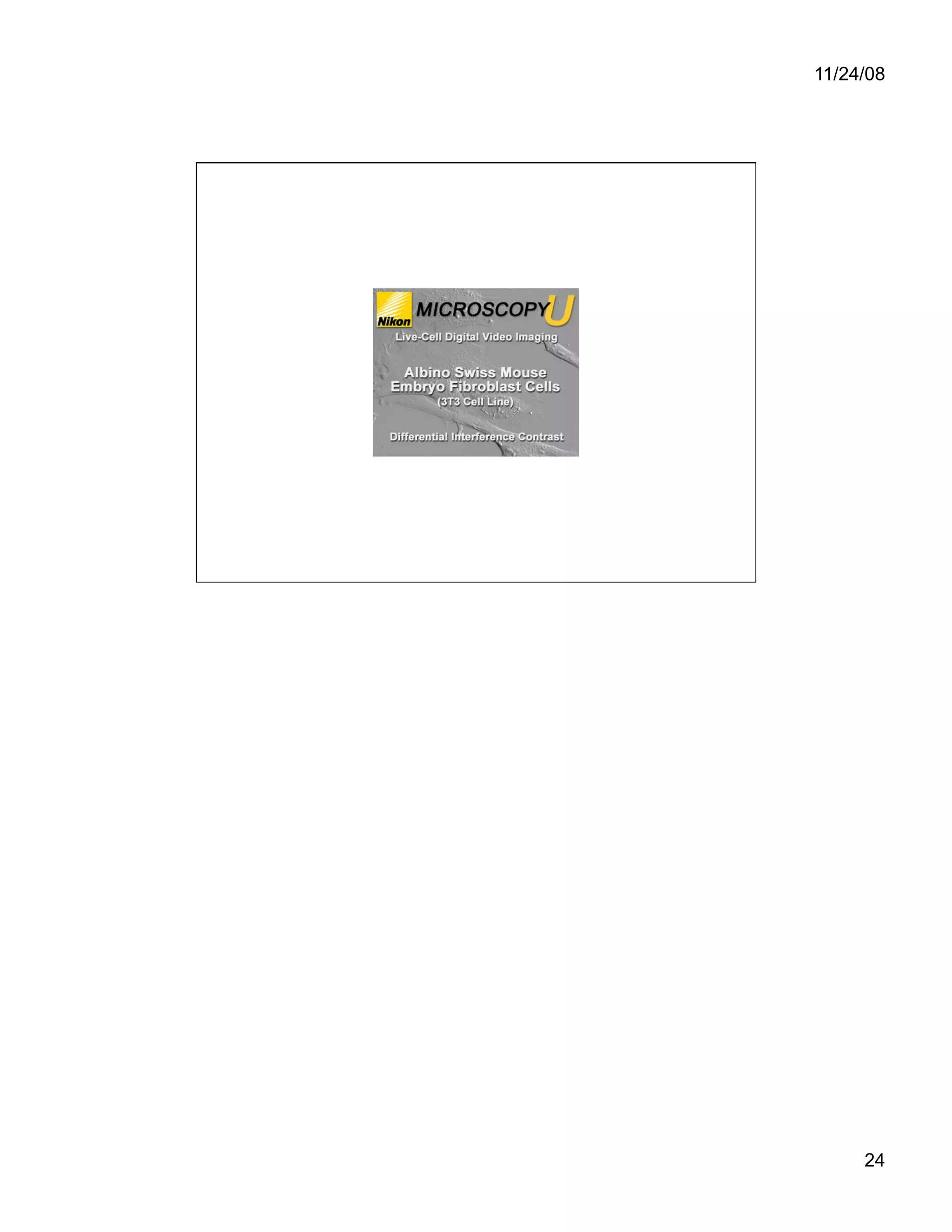 Cell Adhesion and Cell Migration