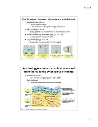 Cell Adhesion and Cell Migration | PDF
