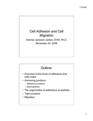 11/24/08




      Cell Adhesion and Cell
             Migration
   Antonia Jameson Jordan, DVM, Ph.D.
            November 24, 2008




                  Outline:
•  Overview of the kinds of adhesions that
   cells make
•  Anchoring junctions
  –  adherens junctions
  –  desmosomes
•  The organization of adhesions at epithelia
•  Tight junctions
•  Migration




                                                      1
 
