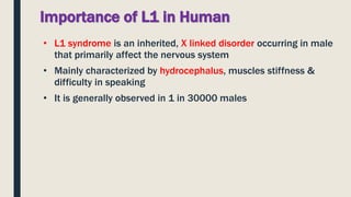 Importance of L1 in Human
• L1 syndrome is an inherited, X linked disorder occurring in male
that primarily affect the nervous system
• Mainly characterized by hydrocephalus, muscles stiffness &
difficulty in speaking
• It is generally observed in 1 in 30000 males
 