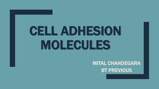 CELL ADHESION
MOLECULES
MITAL CHANDEGARA
BT PREVIOUS
 