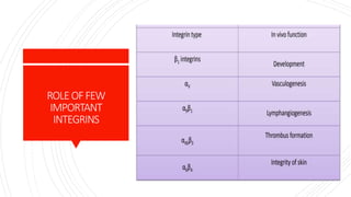 ROLEOFFEW
IMPORTANT
INTEGRINS
 