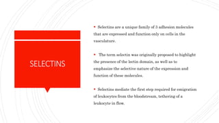 SELECTINS
 Selectins are a unique family of 3 adhesion molecules
that are expressed and function only on cells in the
vasculature.
 The term selectin was originally proposed to highlight
the presence of the lectin domain, as well as to
emphasize the selective nature of the expression and
function of these molecules.
 Selectins mediate the first step required for emigration
of leukocytes from the bloodstream, tethering of a
leukocyte in flow.
 