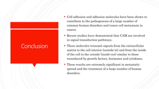 Conclusion
 Cell adhesion and adhesion molecules have been shown to
contribute to the pathogenesis of a large number of
common human disorders and tumor cell metastasis in
cancer.
 Recent studies have demostrated that CAM are involved
in signal transduction pathways.
 These molecules transmit signals from the extracellular
matrix to the cell interior (outside-in) and from the inside
of the cell to the outside (inside-out) similar to those
transduced by growth factors, hormones and cytokines.
 These results are extremely significant in metastatic
spread and the treatment of a large number of human
disorders.
 