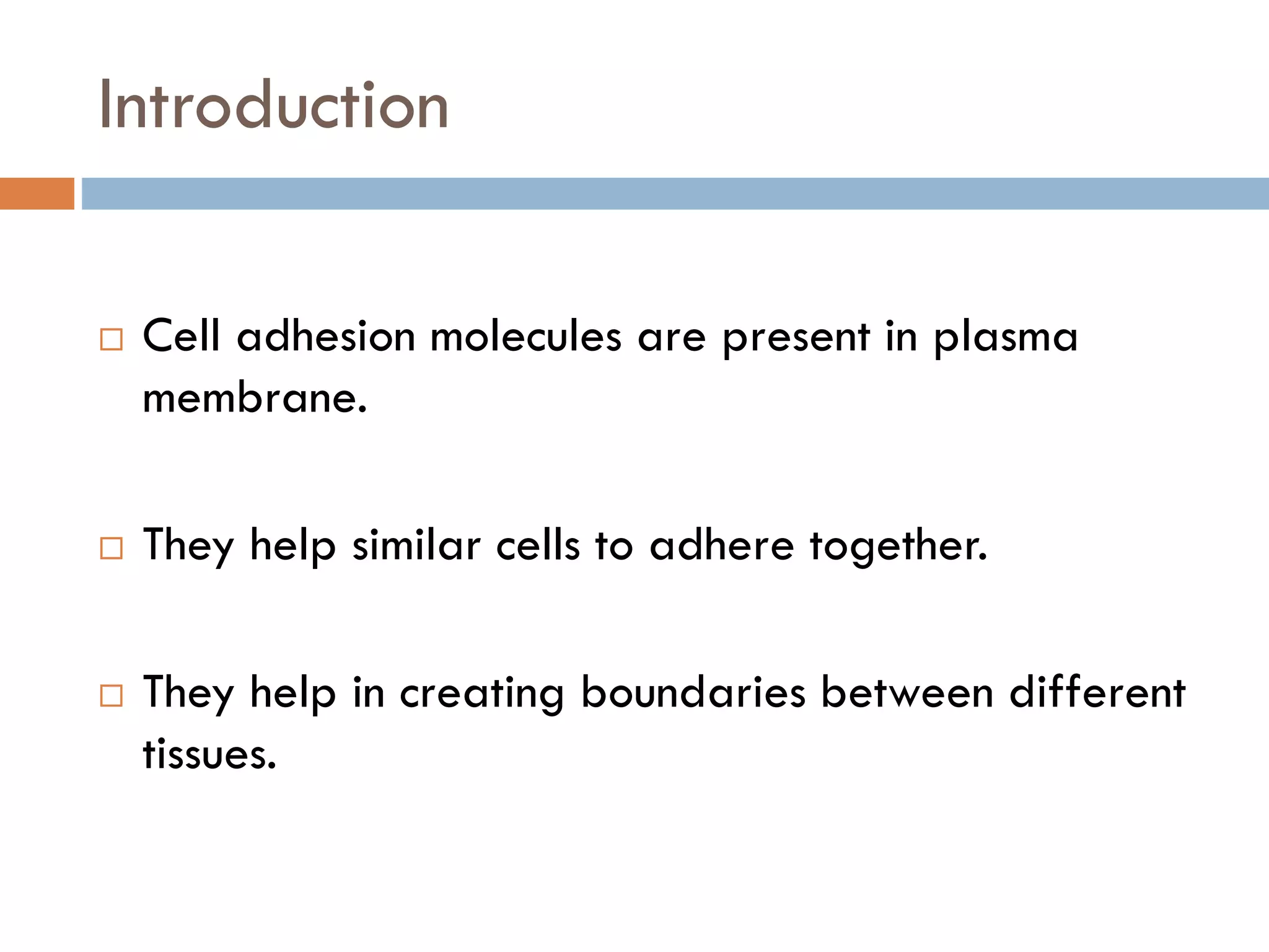 Cell Adhesion Molecules PPT