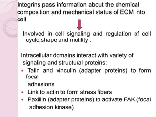 Cell adhesion molecules and matrix proteins | PPTX