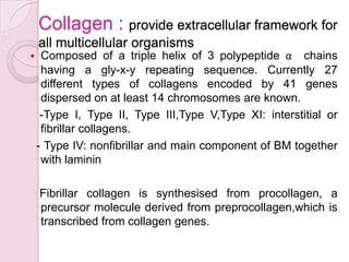 Cell adhesion molecules and matrix proteins | PPTX