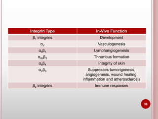 Integrin Types Cell adhesion molecules and mechanisms of cell adhesion | PPTX