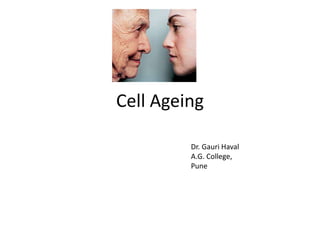 Cell Ageing
Dr. Gauri Haval
A.G. College,
Pune
 
