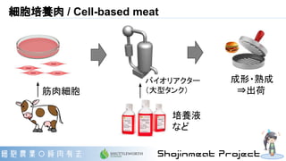 細胞培養肉 / Cell-based meat
筋肉細胞
バイオリアクター
（大型タンク）
培養液
など
成形・熟成
　⇒出荷
 