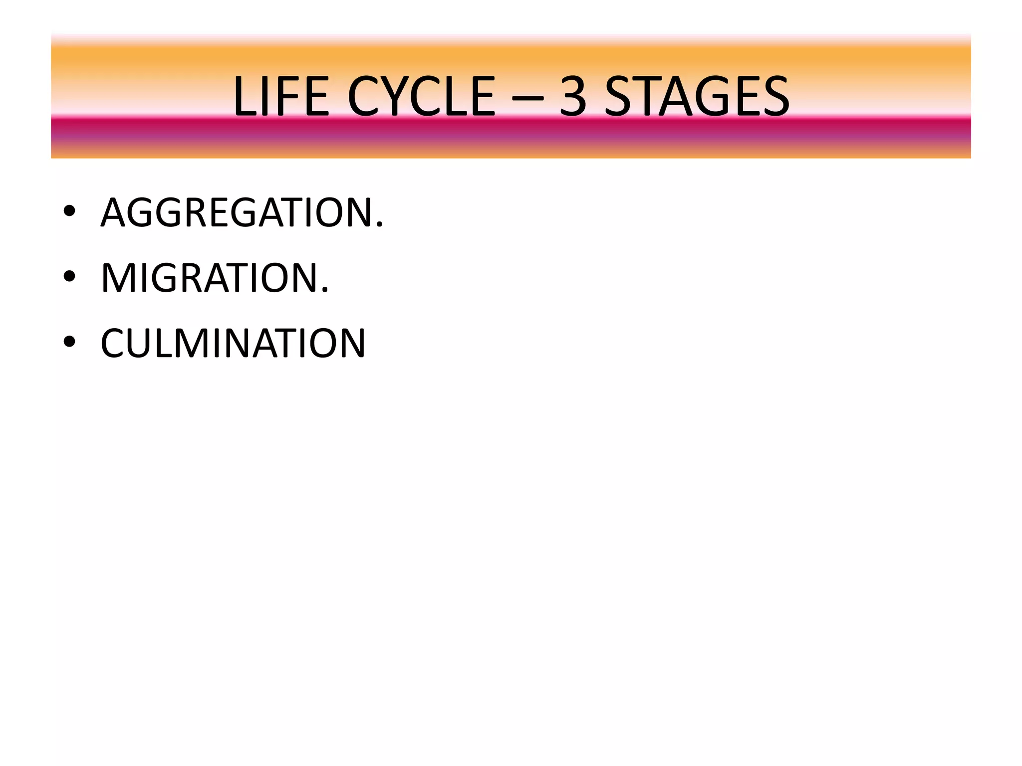 LIFE CYCLE – 3 STAGES
• AGGREGATION.
• MIGRATION.
• CULMINATION
 