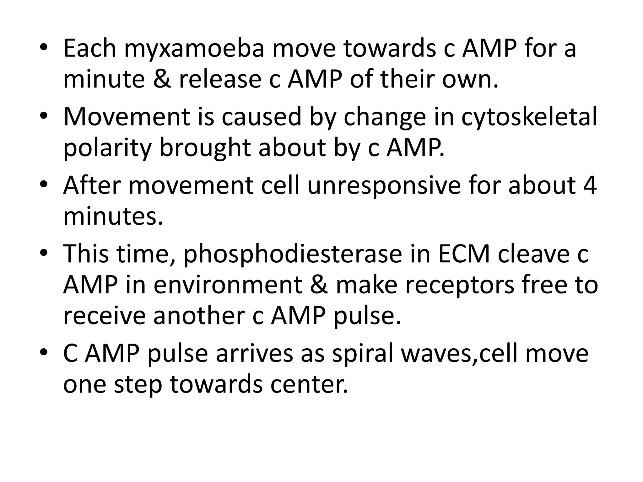 • Each myxamoeba move towards c AMP for a
minute & release c AMP of their own.
• Movement is caused by change in cytoskeletal
polarity brought about by c AMP.
• After movement cell unresponsive for about 4
minutes.
• This time, phosphodiesterase in ECM cleave c
AMP in environment & make receptors free to
receive another c AMP pulse.
• C AMP pulse arrives as spiral waves,cell move
one step towards center.
 