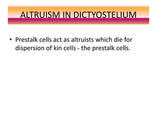 ALTRUISM IN DICTYOSTELIUM
• Prestalk cells act as altruists which die for
dispersion of kin cells - the prestalk cells.
 