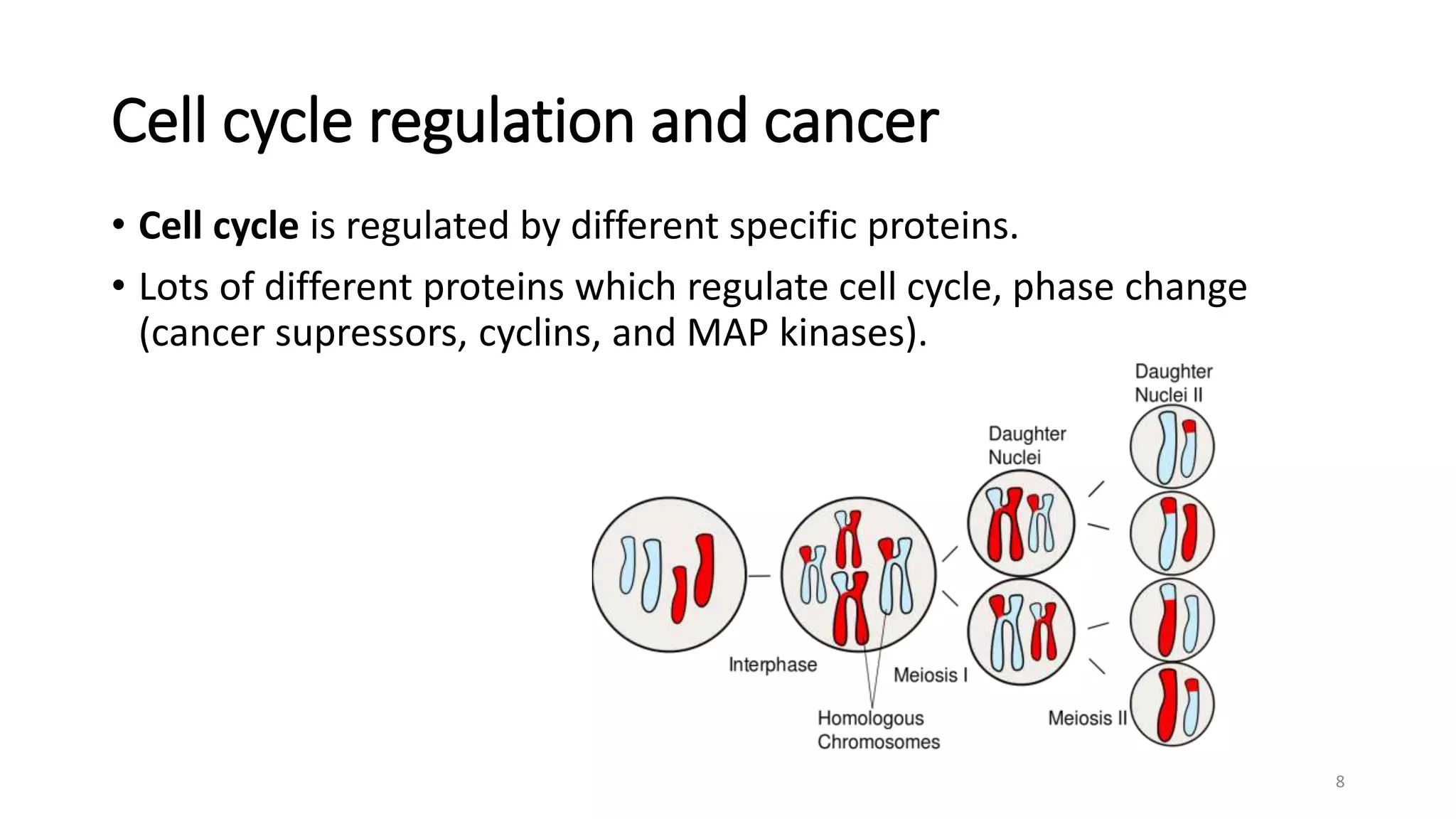 Cell aging | PPTX