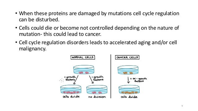 Cell aging