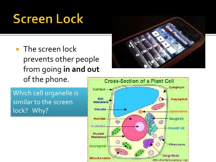analogy of a cell