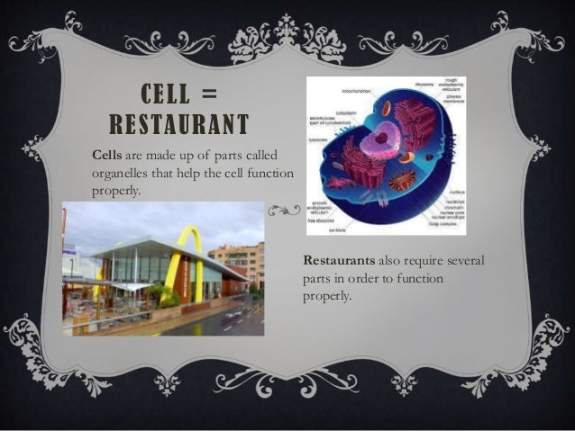 cell analogy example cell analogy project ideas