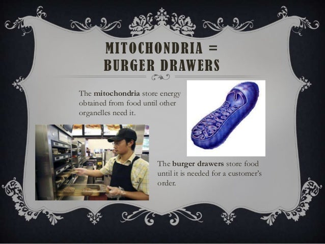 mitochondria analogy