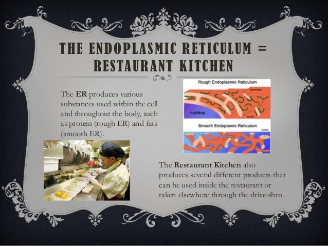 Cell Analogy Example