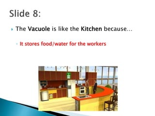  The Vacuole is like the Kitchen because…
◦ It stores food/water for the workers
 