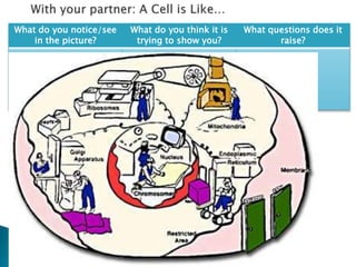 What do you notice/see
in the picture?
What do you think it is
trying to show you?
What questions does it
raise?
 