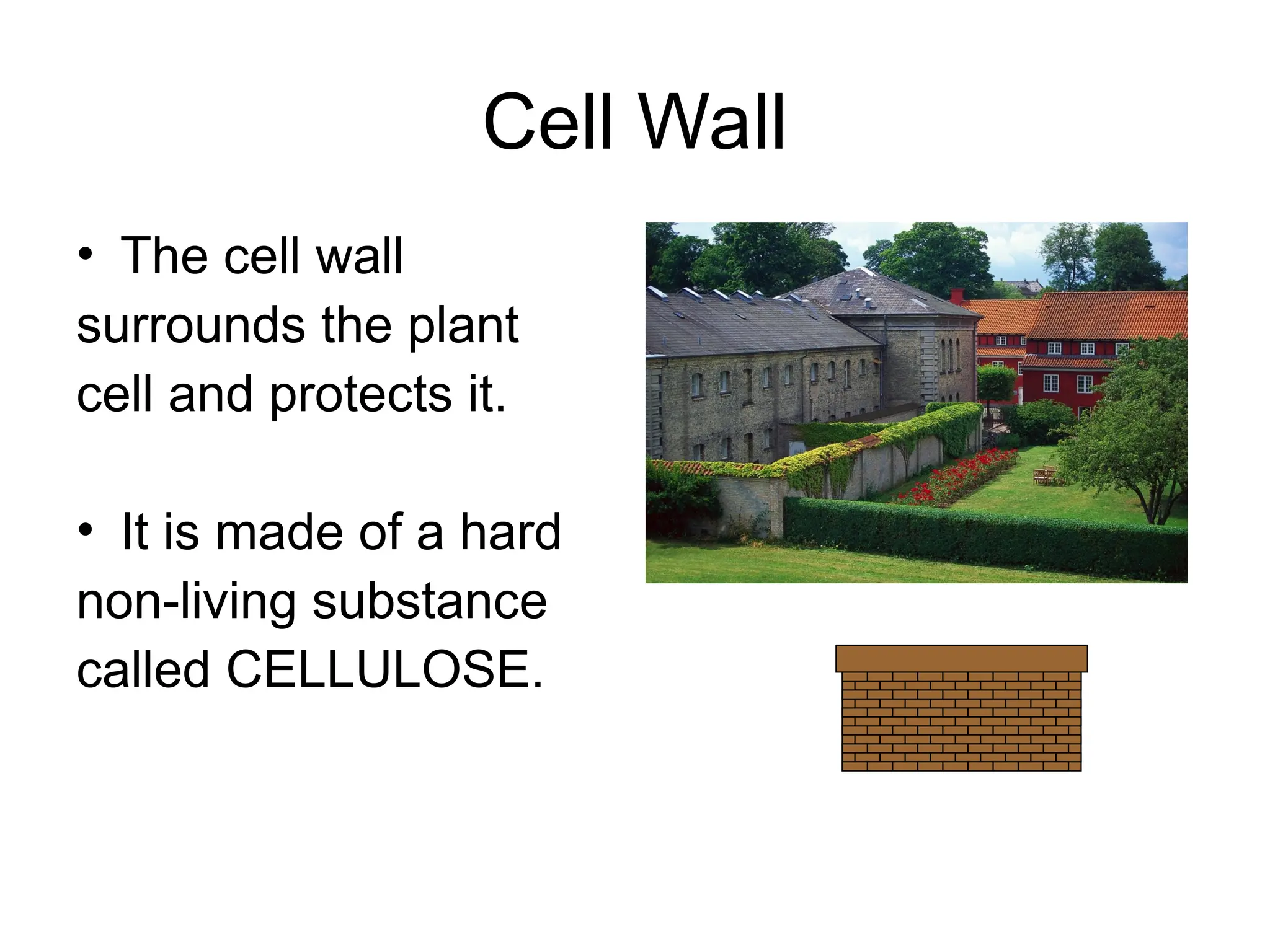 Cell Analogy powerpt.ppt cells analogy p | PPT