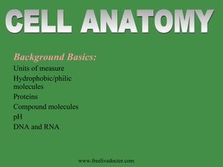 Background Basics: Units of measure Hydrophobic/philic molecules Proteins Compound molecules pH DNA and RNA CELL ANATOMY www.freelivedoctor.com 